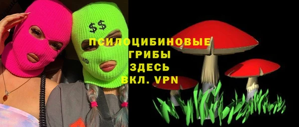 дмт Алексеевка