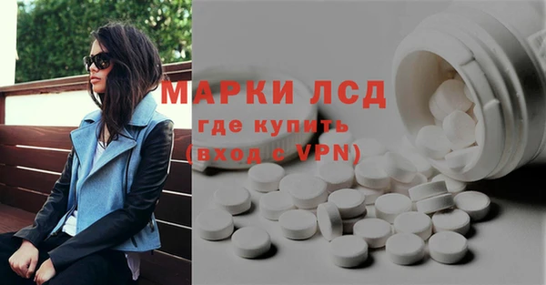 хмурый Алзамай