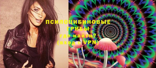 хмурый Алзамай