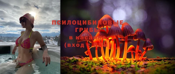 дмт Алексеевка