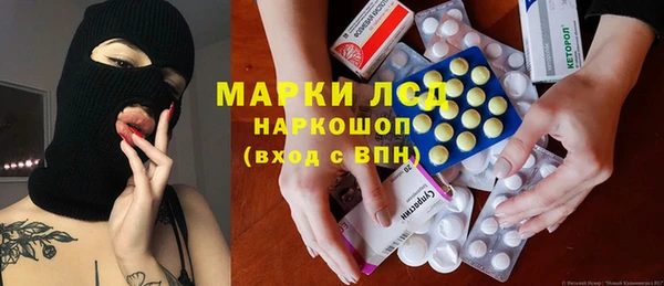 хмурый Алзамай