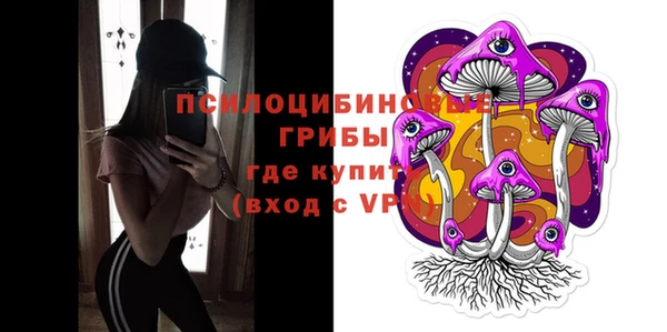 хмурый Алзамай