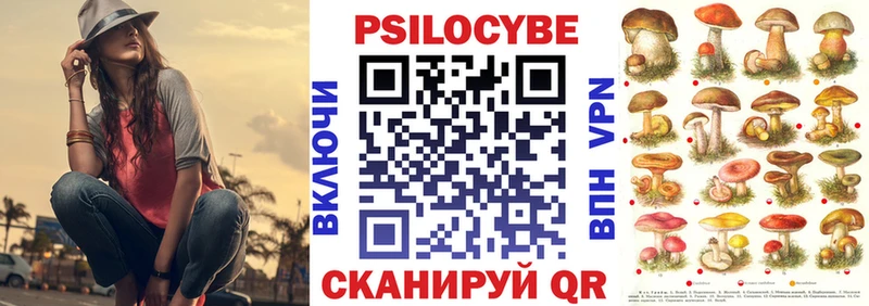 Галлюциногенные грибы Psilocybe  купить   Москва 